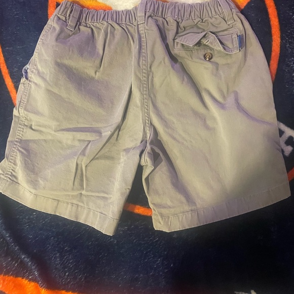 Gray Flat Front Shorts with Elastic Waistband and Comfortable Fit - Picture 2 of 2